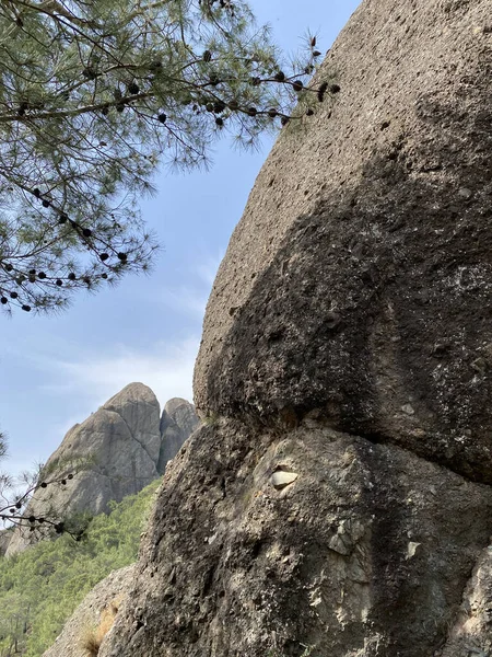 Türkiye 'nin Akdeniz kıyısındaki Antalya ilinde yeşillik ve kaya oluşumlarına sahip güzel bir çalılık manzarası. Türkiye 'nin Kemer kentinin panoramik manzarası. Yükseklerden Akdeniz kıyısındaki çam ağaçlarına bak.. 