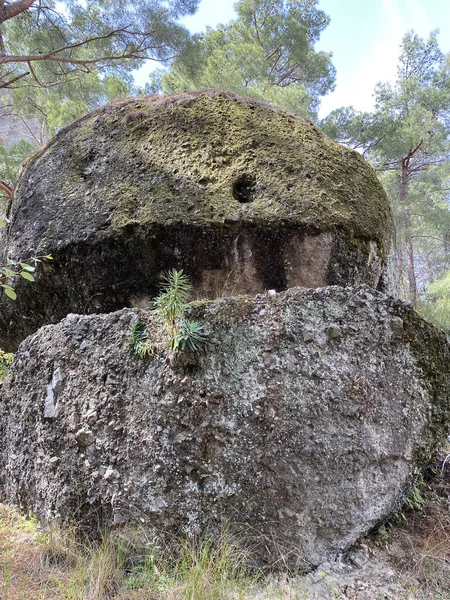 Türkiye 'nin Akdeniz kıyısındaki Antalya ilinde yeşillik ve kaya oluşumlarına sahip güzel bir çalılık manzarası. Türkiye 'nin Kemer kentinin panoramik manzarası. Yükseklerden Akdeniz kıyısındaki çam ağaçlarına bak.. 