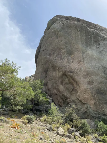 Une Belle Vue Sur Arbuste Avec Verdure Formations Rocheuses Dans — Photo