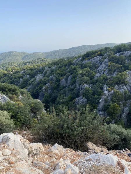 Yetişkin bir kedi bankta oturur ve kameraya bakar. Türkiye 'de kedi. Evsiz Şirin Kedi. Türk Angora kedileri.