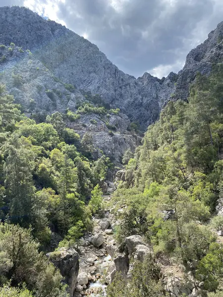Yazın güneşli bir günde dağların arka planında sakin su bulunan zümrüt göl, Kemer, Lycia, Türkiye yakınlarındaki Goynuk kanyonu. Doğa konseptinin güzelliği.