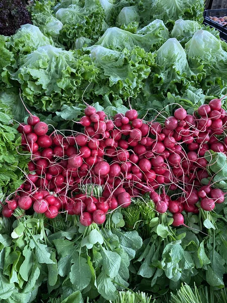 Sayuran Segar Atas Tampilan Membeli Pasar Organik Petani Lobak Hijau — Stok Foto