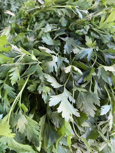 Sayuran Organik Segar Pasar Jalanan Menampilkan Bahan Salad Segar Pasar — Stok Foto