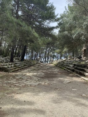 Antalya Kemer 'indeki Phaselis antik şehrinin nekropolis bölümünden bir görüntü. antik kalıntılar
