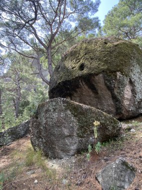 Ormandaki dev dengeleyici kaya. Arkadaki Ağaçlarla Güzel Bir Ormanda Kayalıklardaki Büyük Kaya.