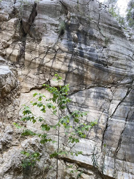 Ein Blick Von Der Nekropolenabteilung Der Antiken Stadt Phaselis Kemer — Stockfoto