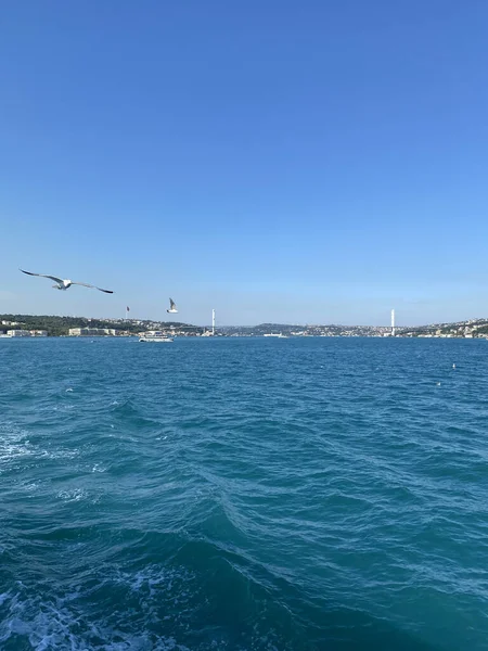 İstanbul, Türkiye - İstanbul Boğazı 'ndan geçen bir feribot. İstanbul 'un tarihi parçası Türkiye' nin kayıktan İstanbul Boğazı 'nı geçen güzel kıç dalgası ve martıları. Türkiye seyahat kavramı