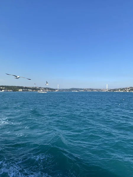 Istanbul Turkey Ferry Boat Crossing Bosphorus Strait Cityscape Istanbul Historical — Stock Photo, Image
