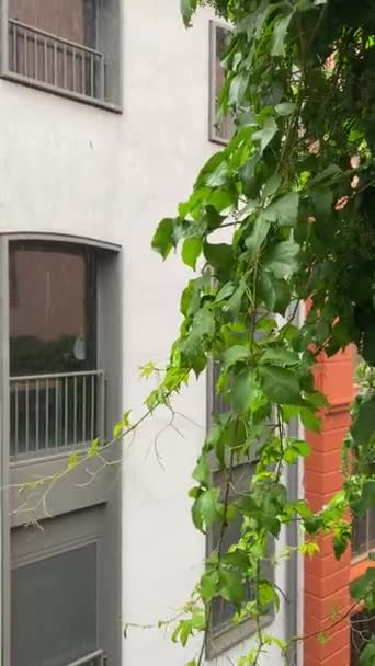 Výhled Okna Sousední Budovy Pohled Řady Oken Apartmánu Vysokými Budovami — Stock video