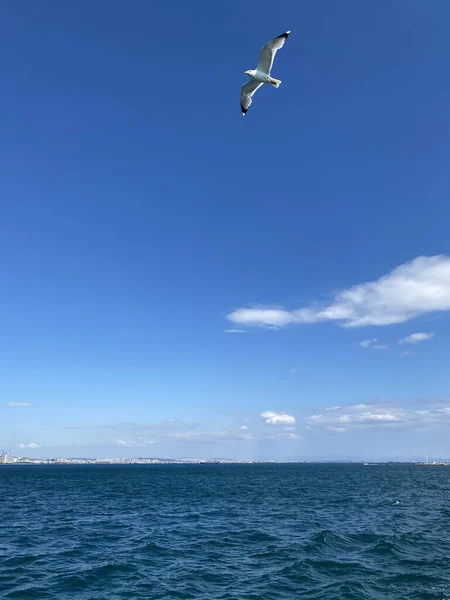 Estambul Turquía Ferry Que Cruza Estrecho Del Bósforo Paisaje Urbano — Foto de Stock