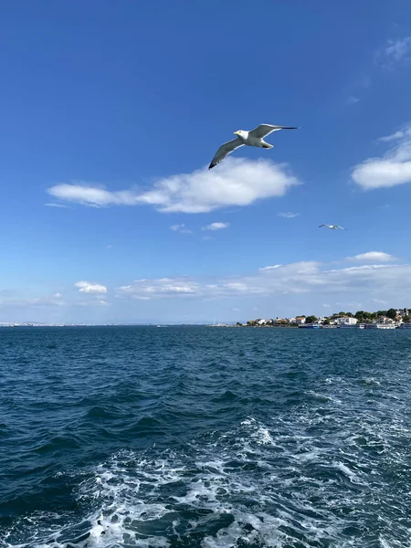 Istambul Turquia Barco Balsa Que Atravessa Estreito Bósforo Cityscape Istambul — Fotografia de Stock