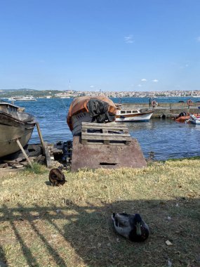 İstanbul 'da İstanbul turu (Boğaziçi). Yaz konseptinde Türk gemileri denizde. Seyahat konsepti. İstanbul Boğazı manzarası. Limandaki balıkçı teknelerinin görüntüsü.
