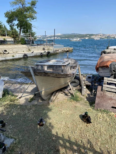 Visite Guidée Bosphore Istanbul Navires Turcs Dans Mer Concept Été — Photo