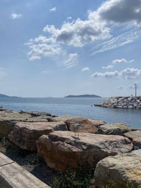 Maltepe kıyı şeridinden ada manzarası, İstanbul şehri Türkiye, güneşli yaz günü, Marmara denizi, Asya kıyısı, ada kenti manzarası, şehir manzarası