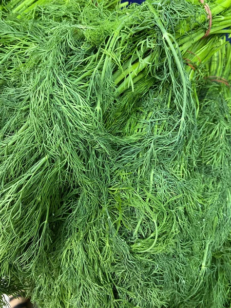 Fresh Green Dill Background Green Dill Texture Bunch Dill Seasoning — Stok Foto