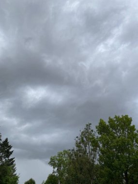 Storm brewing through a view of trees. Dark clouds before the storm.