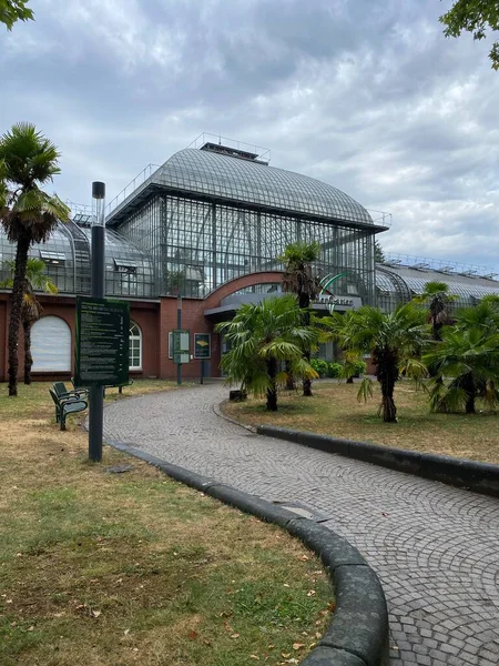 フランクフルト マイン ドイツ ゲーテ大学フランクフルト校の隣にある植物園 パルメンガルテン の眺め — ストック写真