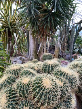 Şehir parkının parçaları, Grugapark 'ın açık havası. Güzel yeşil şehir parkı. Botanik bahçesinden resimler..