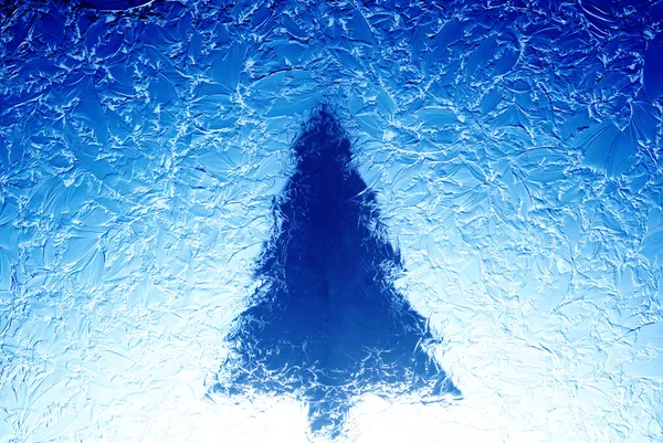 Christmas tree — Stock Photo, Image