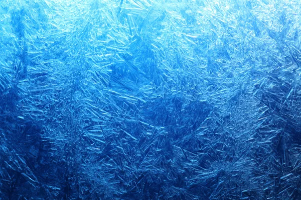 Frost på glas — Stockfoto