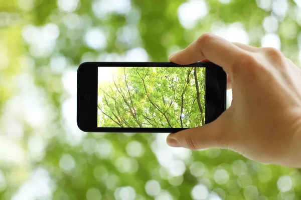 Tomar una foto con un teléfono inteligente — Foto de Stock