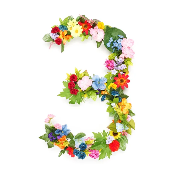 Numeri di foglie e fiori — Foto Stock