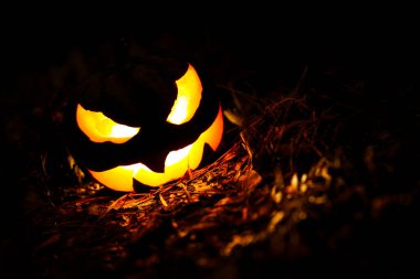 Cadılar Bayramı balkabağı Jack o Fener geceleri parlıyor