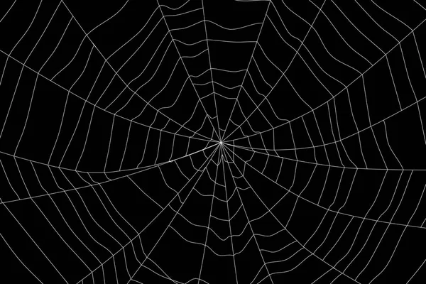 黑色3D上的大型白色蜘蛛网渲染 — 图库照片