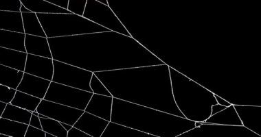 Ağ içinde kapana kısılmış gerçek korkunç örümcek ağı..