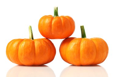 Pumpkins clipart