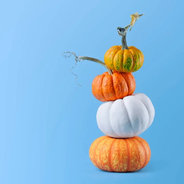 Olika Pumpor Orange Och Vitt Staplade Tillsammans För Halloween — Stockfoto