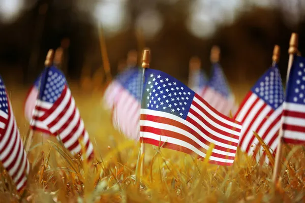 Ομάδα Αμερικανικών Σημαιών Κίτρινο Και Πορτοκαλί Φθινοπωρινό Γρασίδι — Φωτογραφία Αρχείου