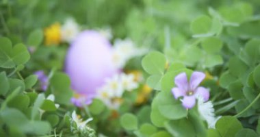 Çiçeklerle dolu bahçedeki gizli Paskalya yumurtasına yavaşça odaklan