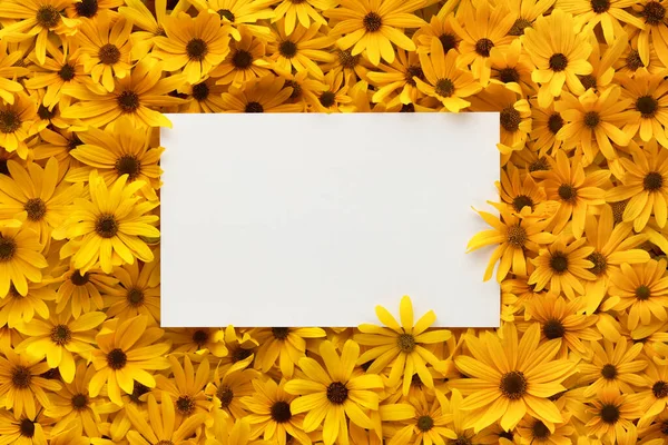 Ram Ljusa Och Varma Gula Sommarblommor Med Blank Vit Vykort — Stockfoto