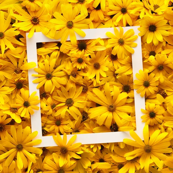 White Frame Covered Bright Warm Yellow Summer Flowers — Stock Photo, Image