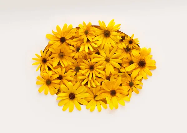 Ζεστά Και Φωτεινά Κίτρινα Καλοκαιρινά Λουλούδια Ξεπροβάλλουν Από Λευκό Χαρτί — Φωτογραφία Αρχείου