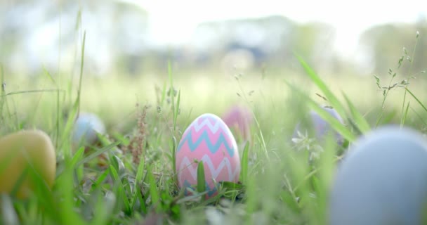 Ostereier Gras Versteckt Für Ostereiersuche — Stockvideo