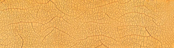 详细的裂隙土壤显示干旱的沙漠土地在高温下被烧焦 造成裂缝 全球暖化或气候变化概念 — 图库照片