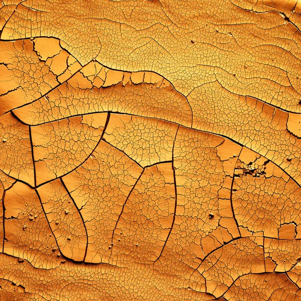 Detailed Cracked Soil Showing Dry Desert Land Scorched Heat Causing — Stock Photo, Image