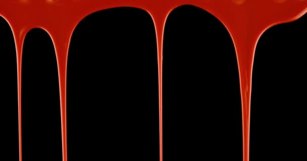 Пухнаста Стійка Крапля Яскраво Червоної Крові Виливається Чорний Фон — стокове відео