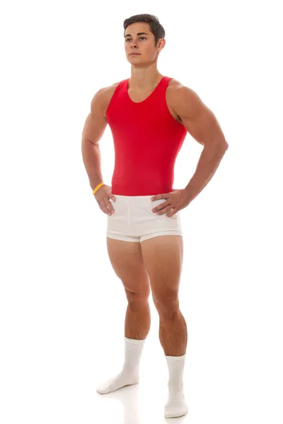 Male Gymnast ⬇ Stock Photo, Image by © nickp37 #13461559