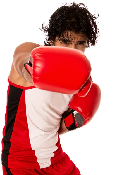 Pejsek boxer — Stock fotografie