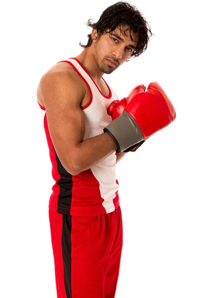 Pejsek boxer — Stock fotografie