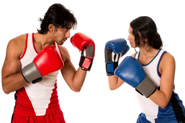 Male and Female Boxers — Stock Photo, Image