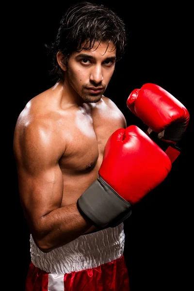 Boxeador masculino —  Fotos de Stock