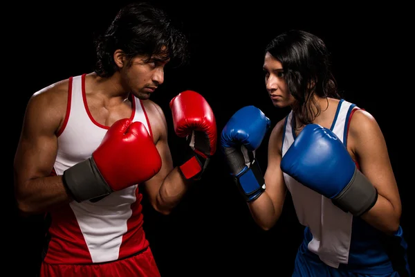 Male and Female Boxers — Stock Photo, Image