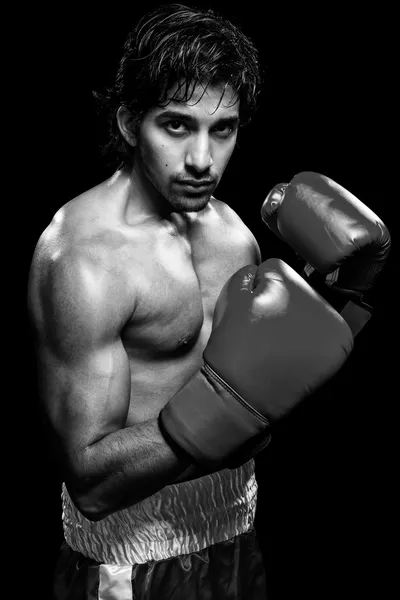 Male Boxer — Stock Photo, Image