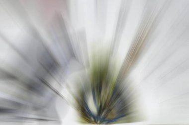 Parlak moda arka plan, açık pembe dış hat farklı pastel tonlar, gri gradyan bulanık arkaplan