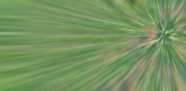 Trendfarbe Grüner Farbverlauf Verschwimmt Hintergrund — Stockfoto