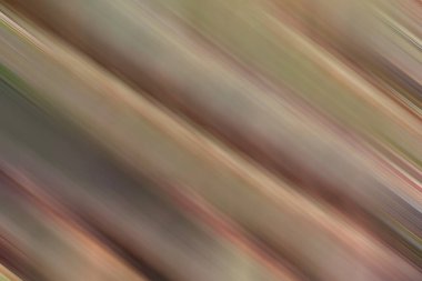 parlak moda bej arka plan, açık kahverengi ana hat farklı pastel tonu, eğilim çıplak renk gradyan arka plan bulanıklığı